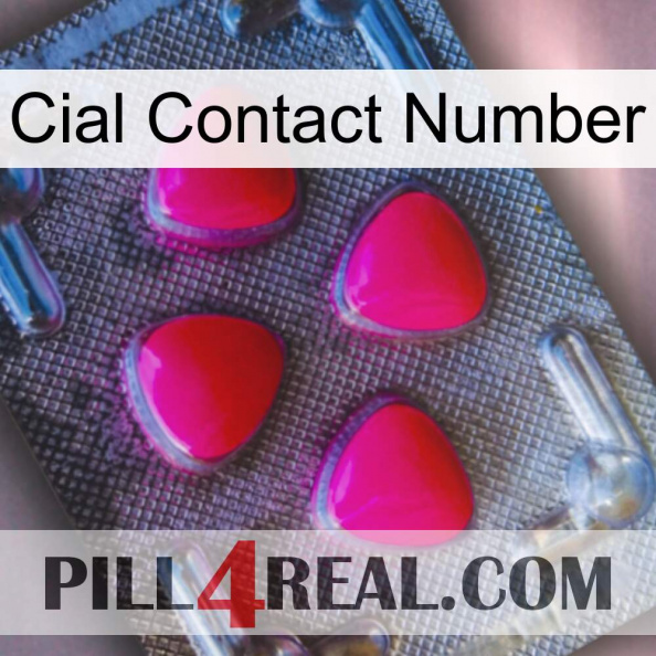 Cial Contact Number 13.jpg